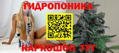 крисы Наро-Фоминск
