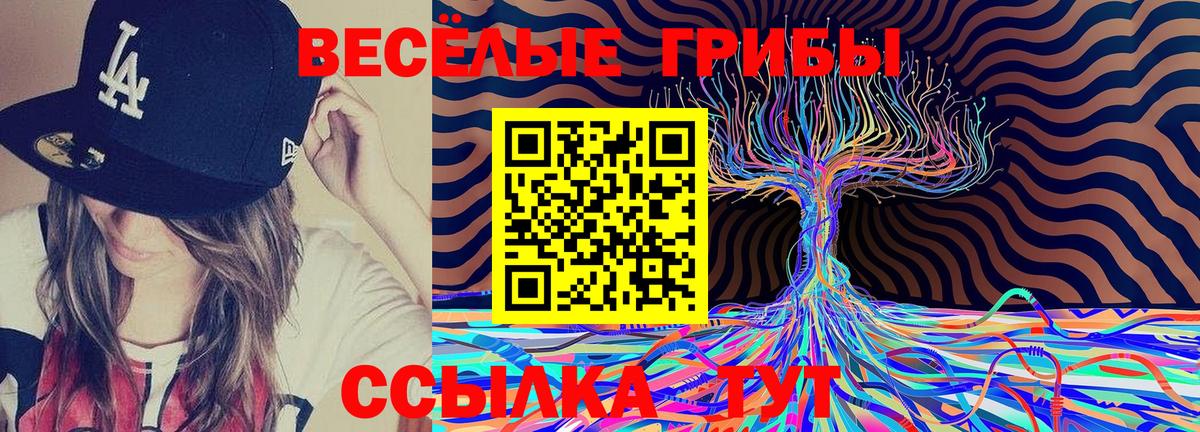 Сызрань  Псилоцибиновые грибы Psilocybe  Вход с VPN  Галлюциногенные грибы GOLDEN TEACHER 