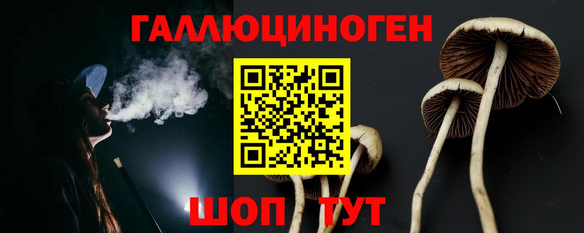 Галлюциногенные грибы MAGIC MUSHROOMS Сызрань