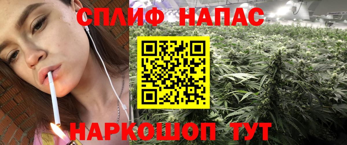 Канабис гибрид Сызрань